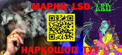кокс Донской