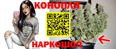 a pvp Аша