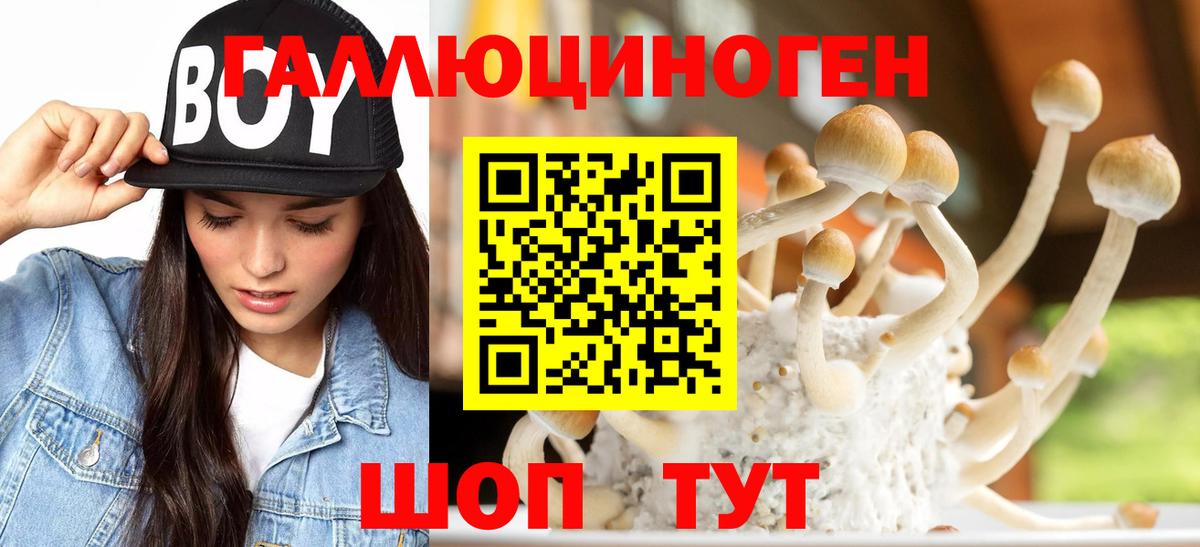 Изобильный  Галлюциногенные грибы мухоморы  Вход с VPN  Галлюциногенные грибы Psilocybe 